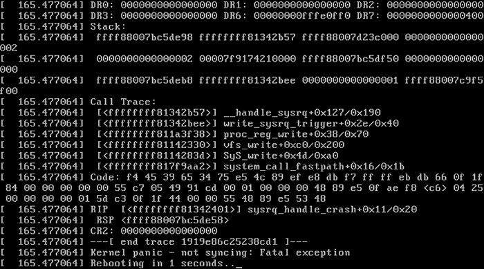 図2　Kernel Panic