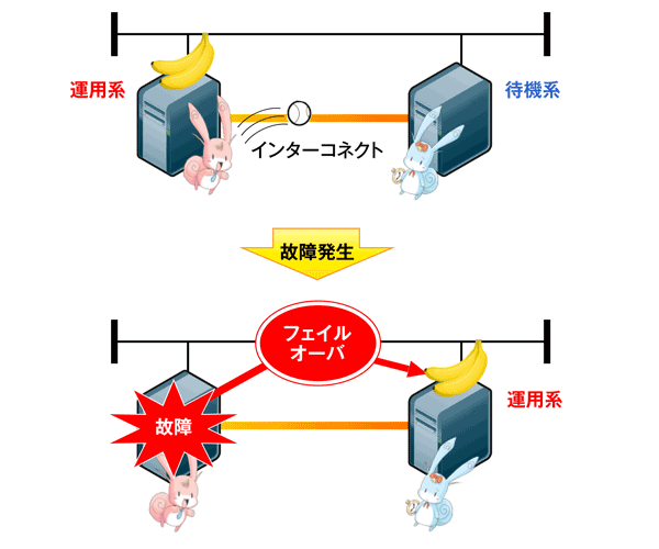 図1　1＋1構成例