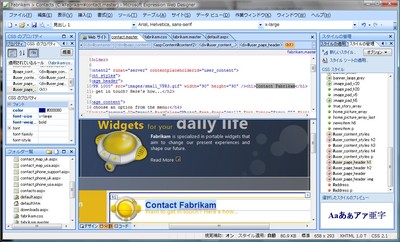 Microsoft Expression Web