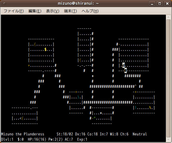 図5　昔なつかしいNetHackのスクリーンショット