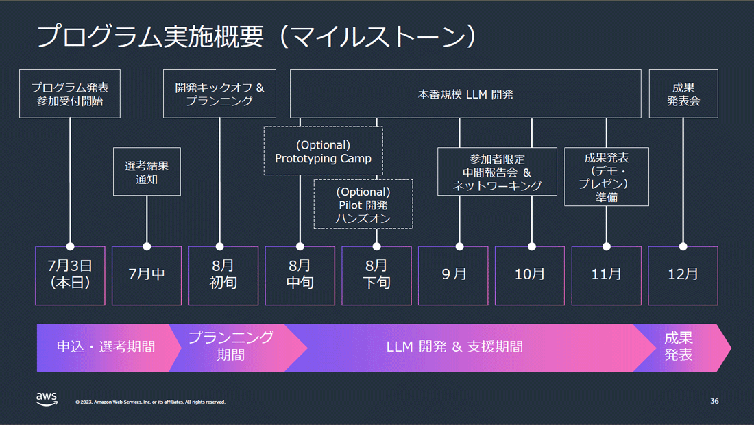 AWS LLM開発支援プログラム実施概要