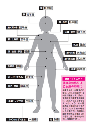 図　『体の図解表』