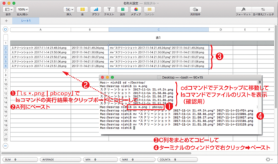 画面2　Numbersでコマンドラインを組み立てる