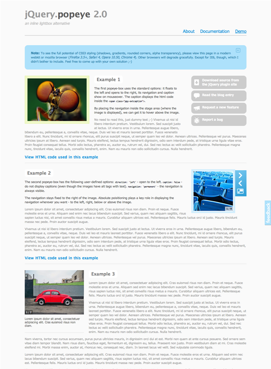 図4　インライン画像ギャラリーのスクリプトjQuery.popeye 2.0（キャプチャー画像はデモ画面です）