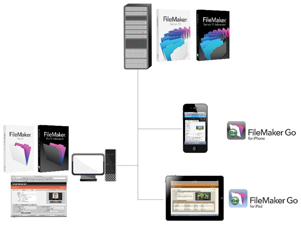 図1　FileMaker Serverにファイルをホストし、FileMaker Pro/FileMaker Goで利用