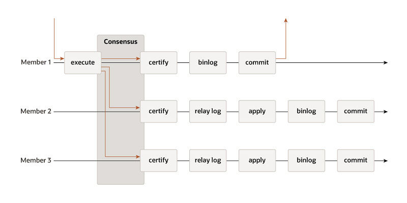 図2　InnoDB Clusterが利用しているグローバル・レプリケーションの合意形成プロトコル