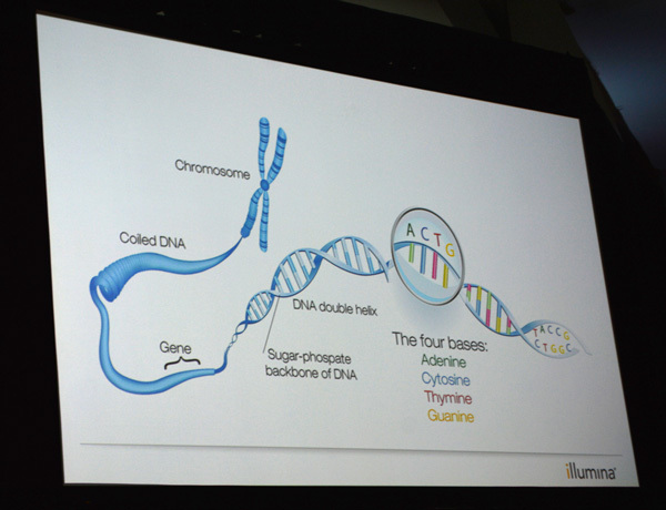 染色体（Chromosome）はヒストンと呼ばれるタンパク質のまわりにDNAが巻き付いて構成されている。DNAは4つの塩基（ACGT）が二重螺旋構造で結合しており、DNAの一部に遺伝子がデータとして書き込まれる。ひとつの細胞に含まれるDNAの長さは約2m、うち遺伝子が書き込まれている部分は5％ほどといわれている