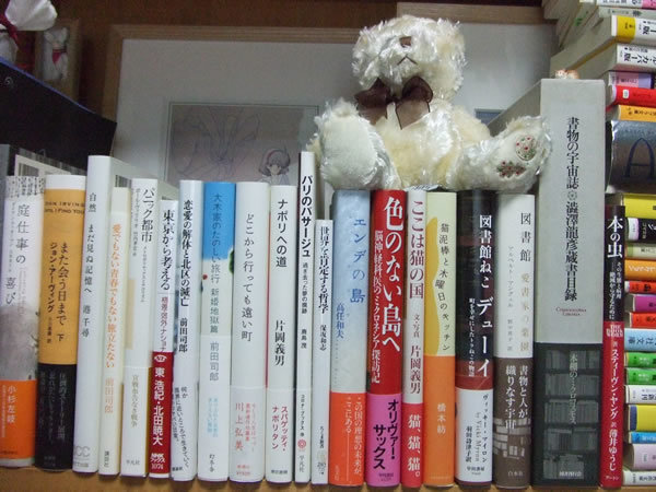 庭から図書館へ