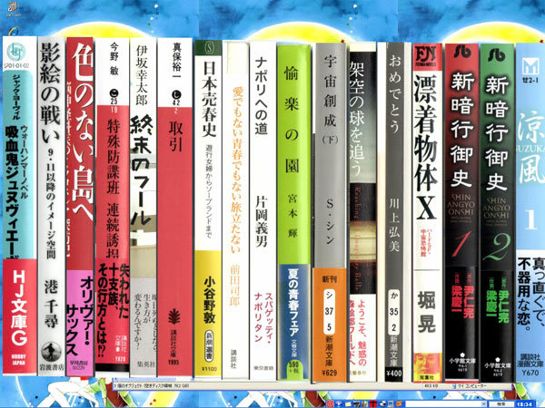 図1　デジタル背表紙システムで構築した背表紙群