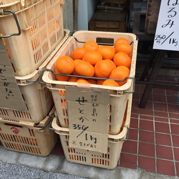 せとか 350円/1kg