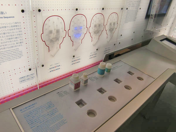 図4　遺伝子情報と薬の処方について体験できる展示